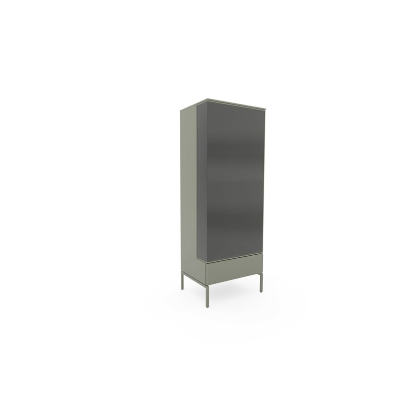 Vitrine 3900 - inklusive Beleuchtung, Lack matt, Salbei