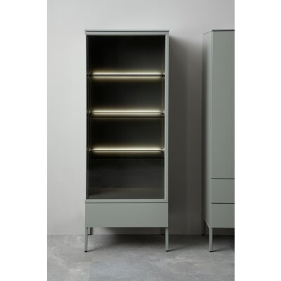 Vitrine 3900 - inklusive Beleuchtung, Lack matt, Salbei