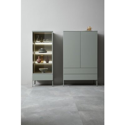 Vitrine 3900 - inklusive Beleuchtung, Lack matt, Salbei