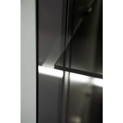 Vitrine 3900 - inklusive Beleuchtung, Lack matt, Salbei