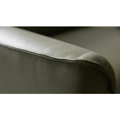 Sofa Amadena - 2-Sitzer inkl. Relaxfunktion motorisch und Kopfteil verstellbar, Leder, Olive
